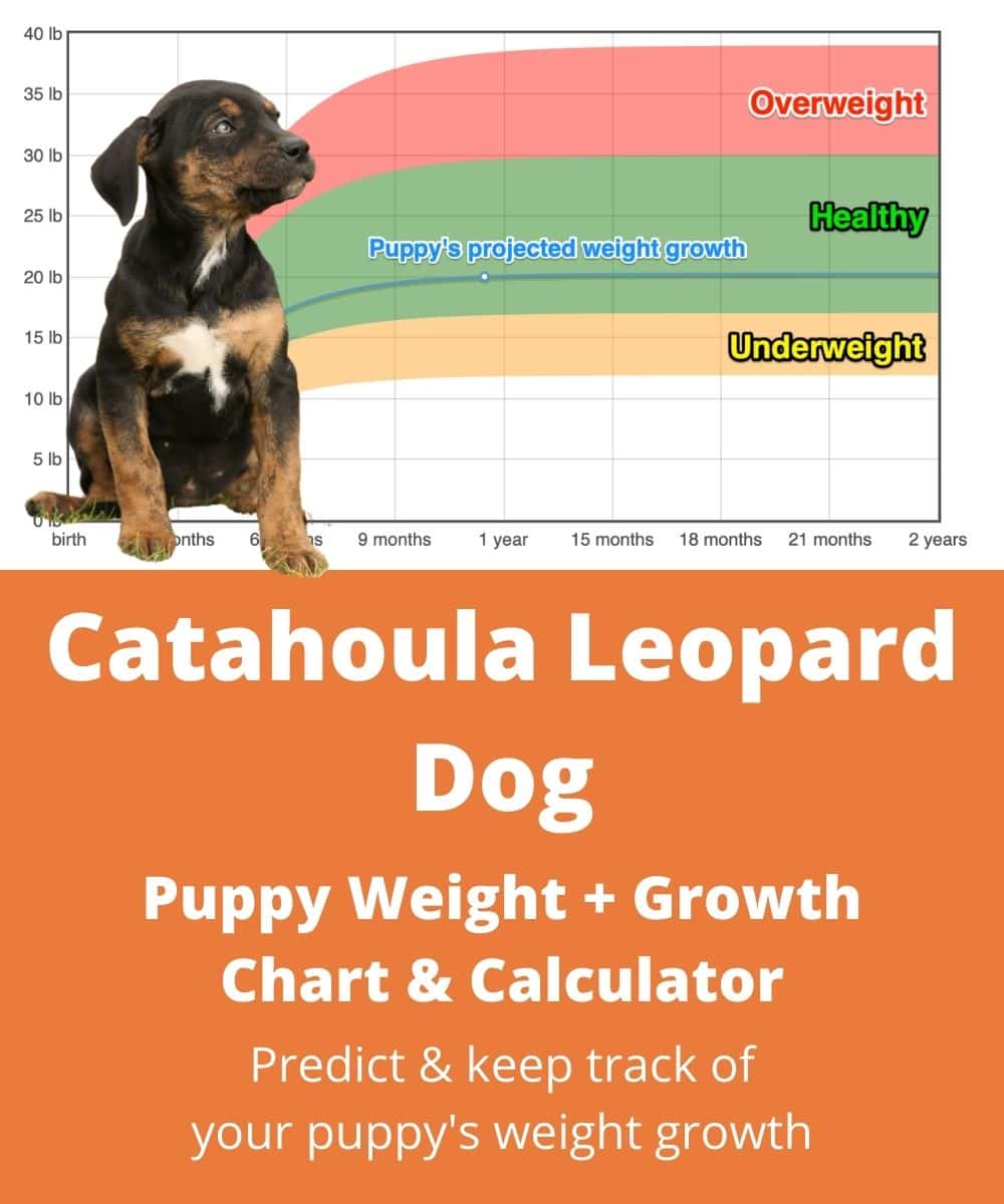 catahoula-leopard-dog Puppy Weight Growth Chart